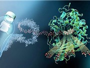 Enzyme phân hủy chất thải nhựa chỉ trong một ngày